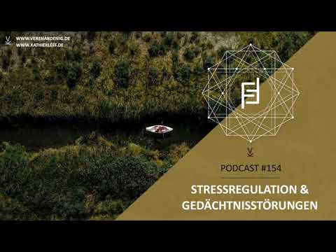 Stressregulation & Gedächtnisstörungen // Podcast #154
