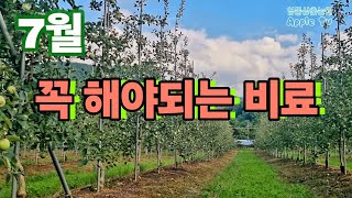 7월달 이후에 꼭 해야되는 비료종류