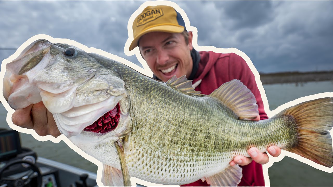 Big Bass on Texas Rigs! Fishing Shallow for Spring Bass