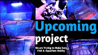 Upcoming projects || New Fish Tanks || New Parrot fish tank update || Aquarium rock's