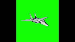 OIIA Tomcat #dcs #oiiaoiia