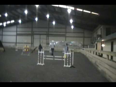 Taz USDAA Gamblers.wmv