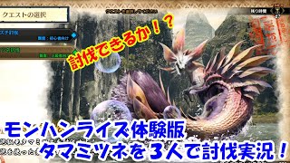 [MH Rise]睦月祐美さんと３人で体験版タマミツネ討伐！