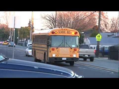 Big Fat Traffic Ticket