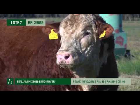 Cabaña Don Benjamin  - X5669