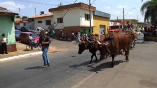 preview picture of video 'Festa do Peão de Campos Gerais 2012'