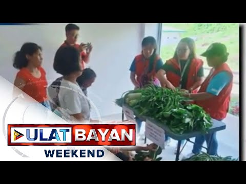 Pagtatayo ng community pantry para sa mga residenteng apektado ng Mayon, pinaplano
