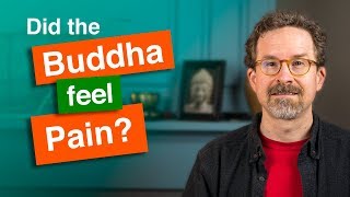 Did the Buddha Feel Pain?