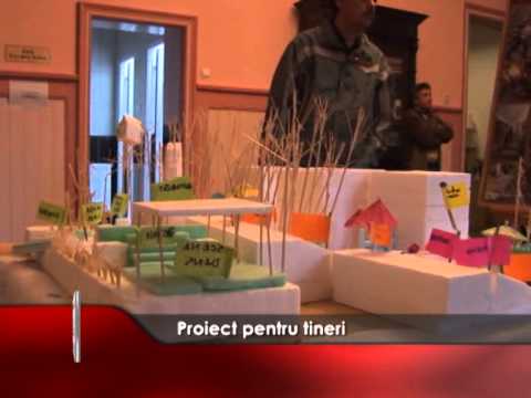 PROIECT PENTRU TINERI