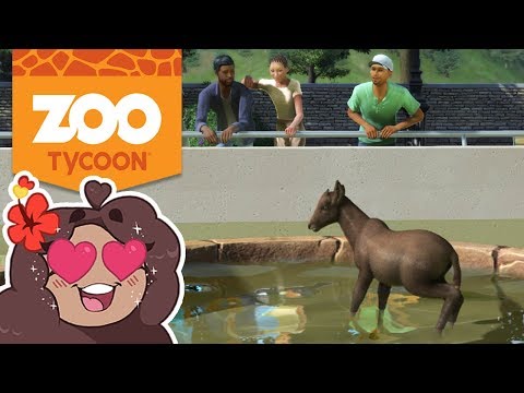 Bouncing Baby Antelope!! 🦁 Zoo Tycoon: Alaskan Wilderness Zoo • #7