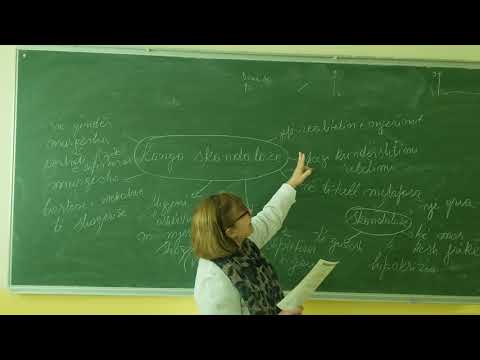 Kanga skandaloze - Migjeni pj 1