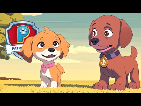 Minha Amiga Skye 🎵💛 Músicas da Patrulha Canina