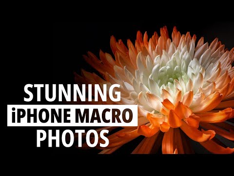 Secrets to Stunning iPhone Macro Photos