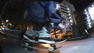 REVIVAL / SHEKARASHIKA 02