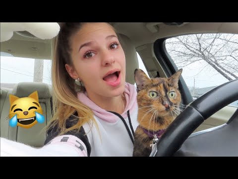 BRINGING MY CAT EVERYWHERE WITH ME FOR A DAY