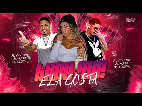 MC CELINHO, MC AANJIM E MC MIKA - TUDO QUE ELA GOSTA - REMIX BREGA FUNK