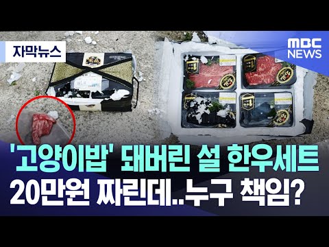 아이콘