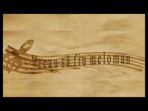 Wolfgang Amadeus Mozart - Fluturaș nu mai ai aripioare