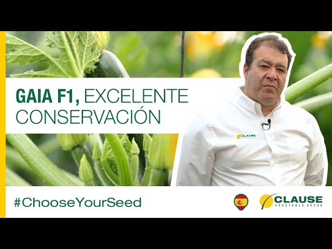 Video: GAIA F1