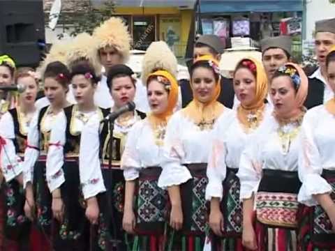 Otkrivena bista Milorada Petrovica Seljancice