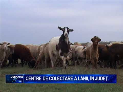 CENTRE DE COLECTARE A LANII
