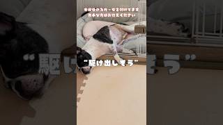 駆け出しそう