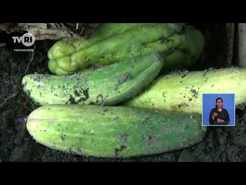 Sekedhikaipun Kandhang Dados Pepalang Relawan Kekandhangan