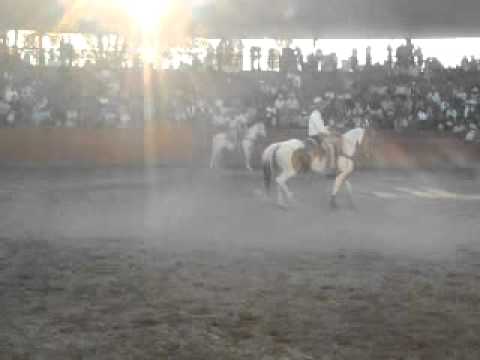 mangana a caballo ganaderos de brito campeones juveniles