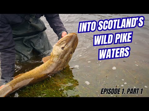 48 Hours of Pike Fishing in Scotland | Hunting Monsters: Ep1
