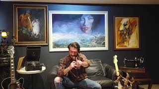 Dibe vurgun (Ebru gündeş cover)