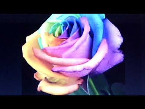 Alfred Newman and his Orchestra:  "Someone To Watch Over Me"  (1946)