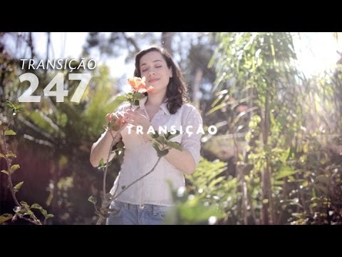 Programa Transição 247 - Transição