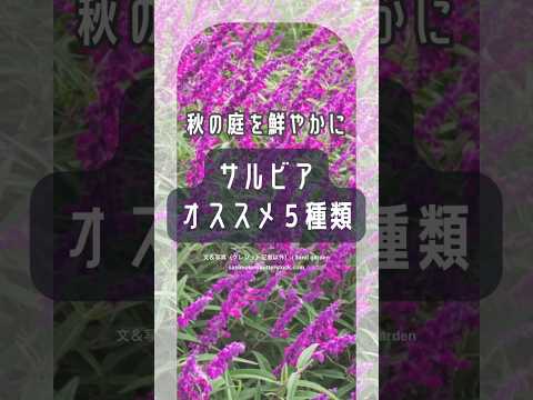 自分で秋のマルチを作る方法