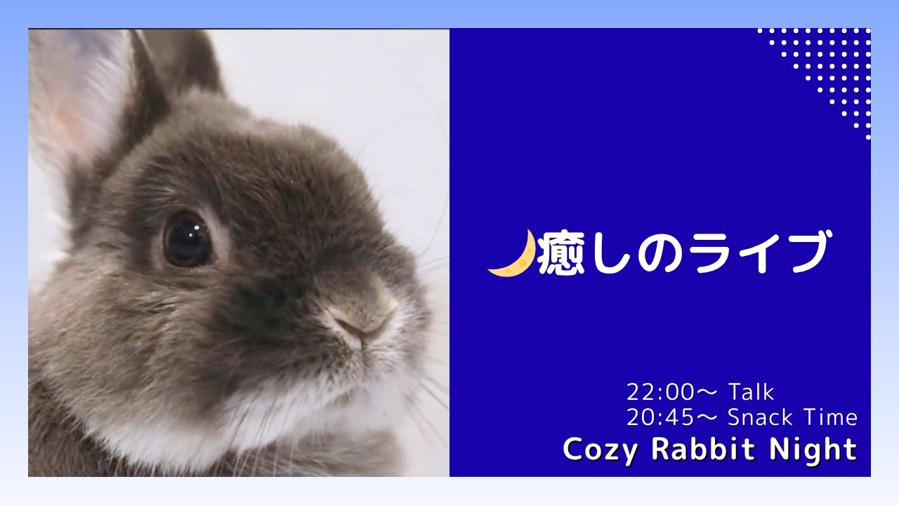 ねむねむうさぎの夜 🐇癒しのうさぎライブ｜Cozy Rabbit Night
