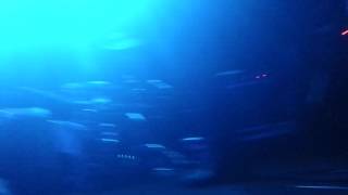 She Wants Revenge - Someone Must Get Hurt (Live at the Pyramid Scheme)