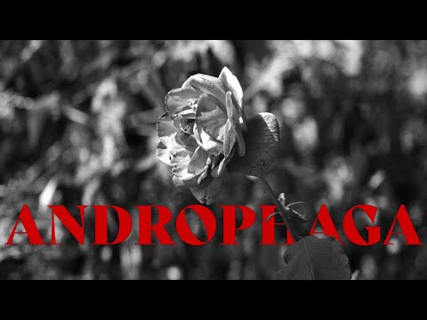 Court Métrage : Androphaga