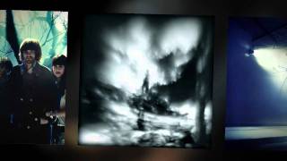 Guillemots - Little Bear