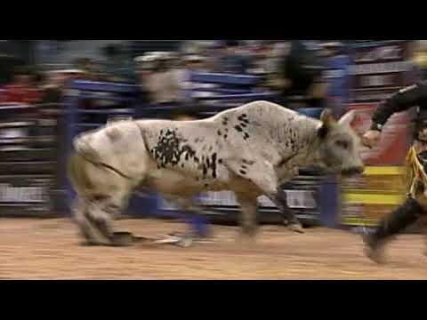 War Dance bucks Mike Lee - 06 PBR Finals
