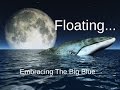 Floating Deep Relaxing Ocean Whale Music With Spoken Word The Big Blue