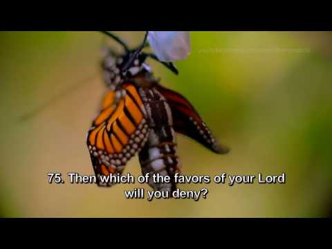 Listen Daily to Solve all your Life Problems Cure Diseases Surah Rahman   54