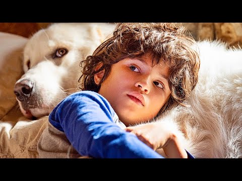 BELLE & SEBASTIAN | Teaser Trailer deutsch german [HD]