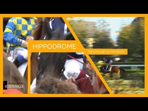 EN FAMILLE - Le centre d'entraînement de l'hippodrome de Deauville-La Touques