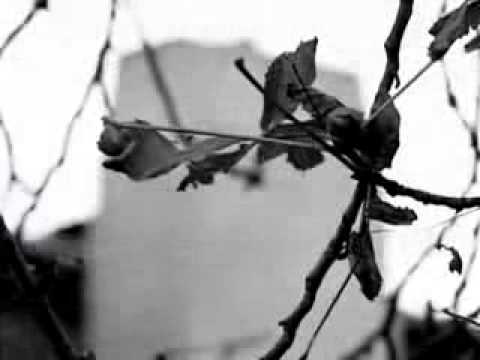 Jiří Schelinger (singer and songwriter,1951-1981) : Holubí dům / Pigeon House