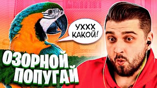 HARD PLAY СМОТРИТ ТЕМНАЯ СТОРОНА 11 МИНУТ СМЕХА МАЙ 2019 ЗАСМЕЯЛСЯ ПРОИГРАЛ