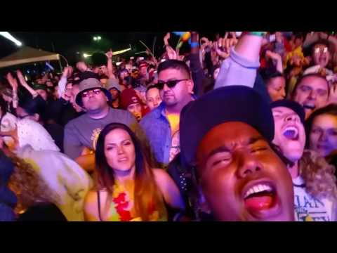 Reggae Festival 2016 - Ragamuffin & Cali Roots