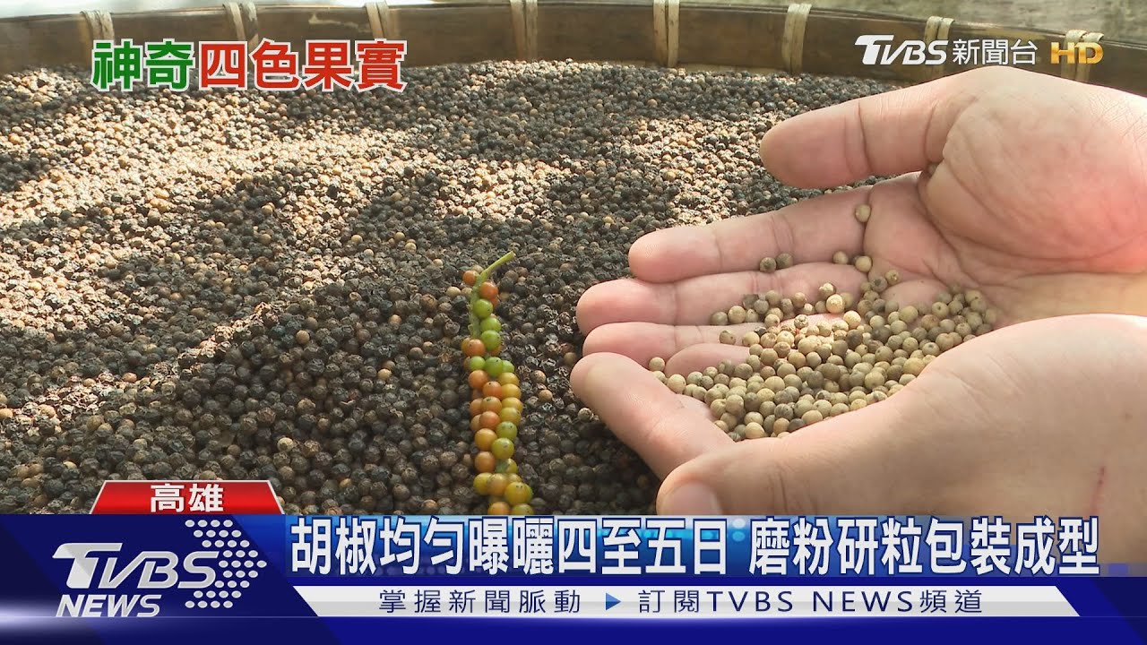 台灣味才青!本土自產五色胡椒 色鮮味更濃