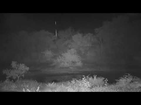 Djuma: Buffalo herd comes to Vuyatela dam at night-rain starts-Pt:2 - 02:42 - 05/21/20
