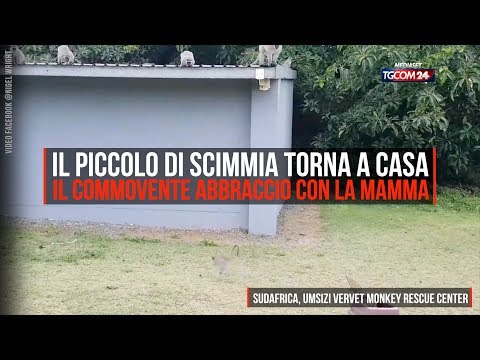 Infezione agendo sui giunti Di mal di schiena a carichi