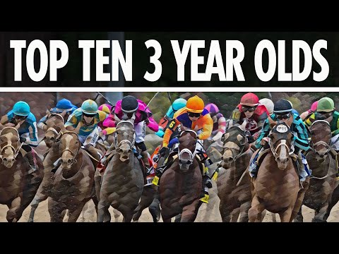 WHO'S THE BEST 3 YEAR OLD HORSE THIS YEAR?  TRUST THE PROPHETS TOP TEN LIST