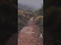 Tharuka Niwa Dura Aatha Thani Wela ‍ ️